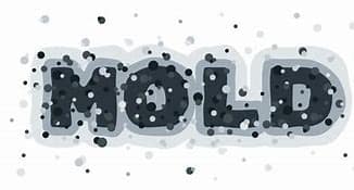 Mold